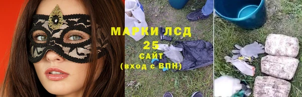 СК Тавда