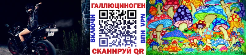 Галлюциногенные грибы Psilocybine cubensis  наркота  Рузаевка 