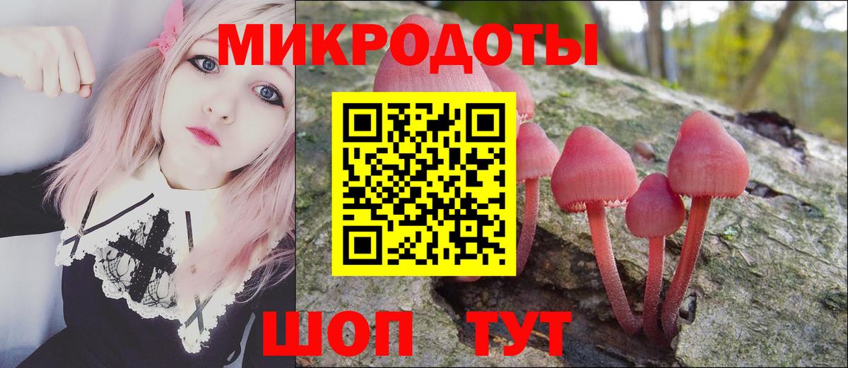 Псилоцибиновые грибы Psilocybine cubensis  Вход с VPN  Рузаевка  Галлюциногенные грибы GOLDEN TEACHER 
